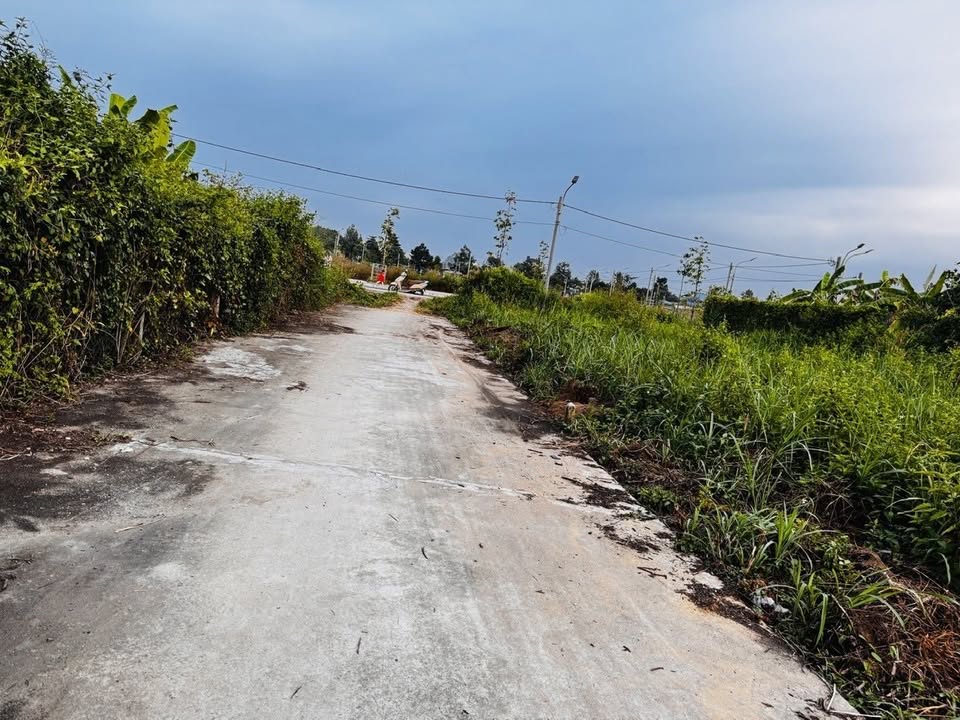 Đất nền Phạm Văn Diêu 86m² giá 2.68 tỷ - Khu dân cư hiện hữu, thuận tiện di chuyển!