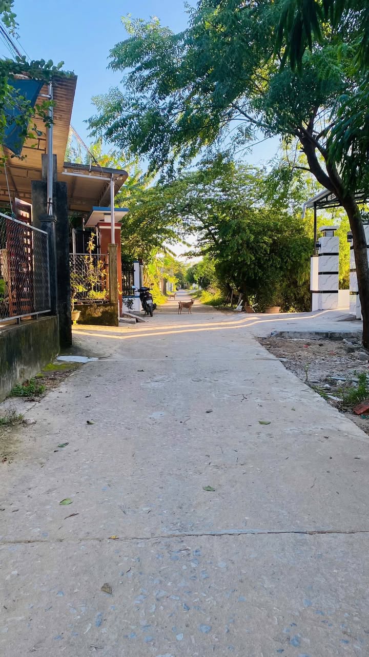 Đất nền 133m² hướng Đông tại Thị xã Quảng Trị - Đường thông ô tô, chỉ 4xx triệu!