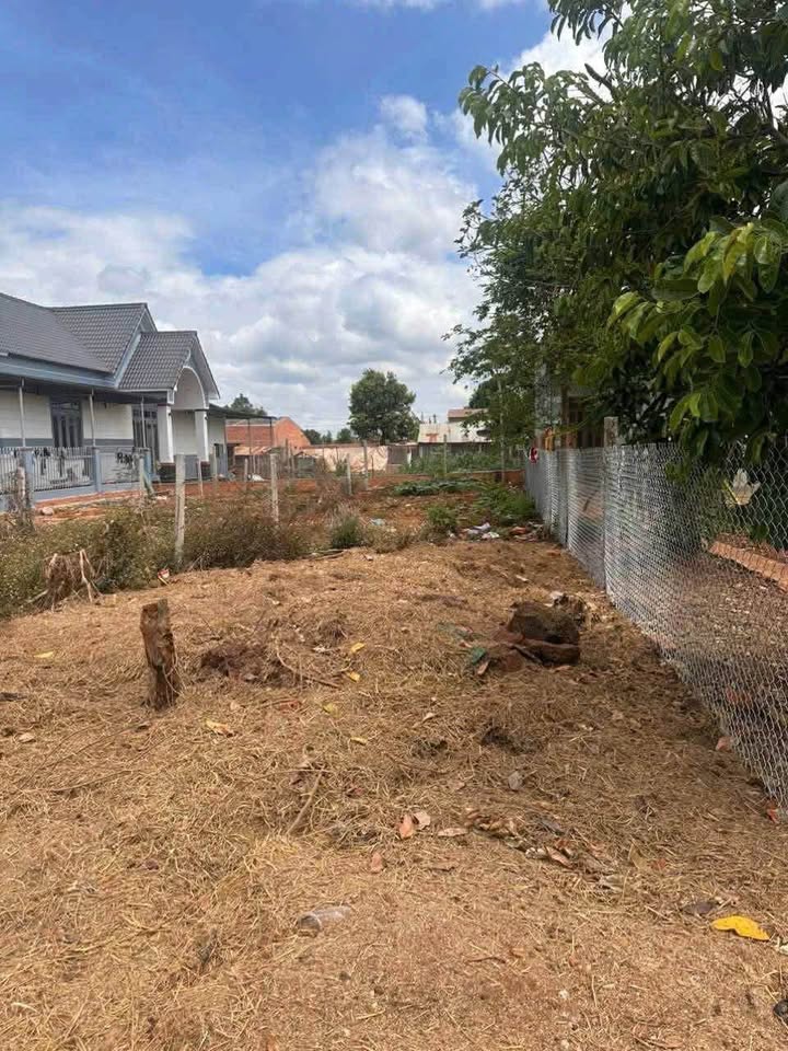 Đất nền Hòa Khánh 125m² giá 450 triệu - Cơ hội vàng cho nhà đầu tư!