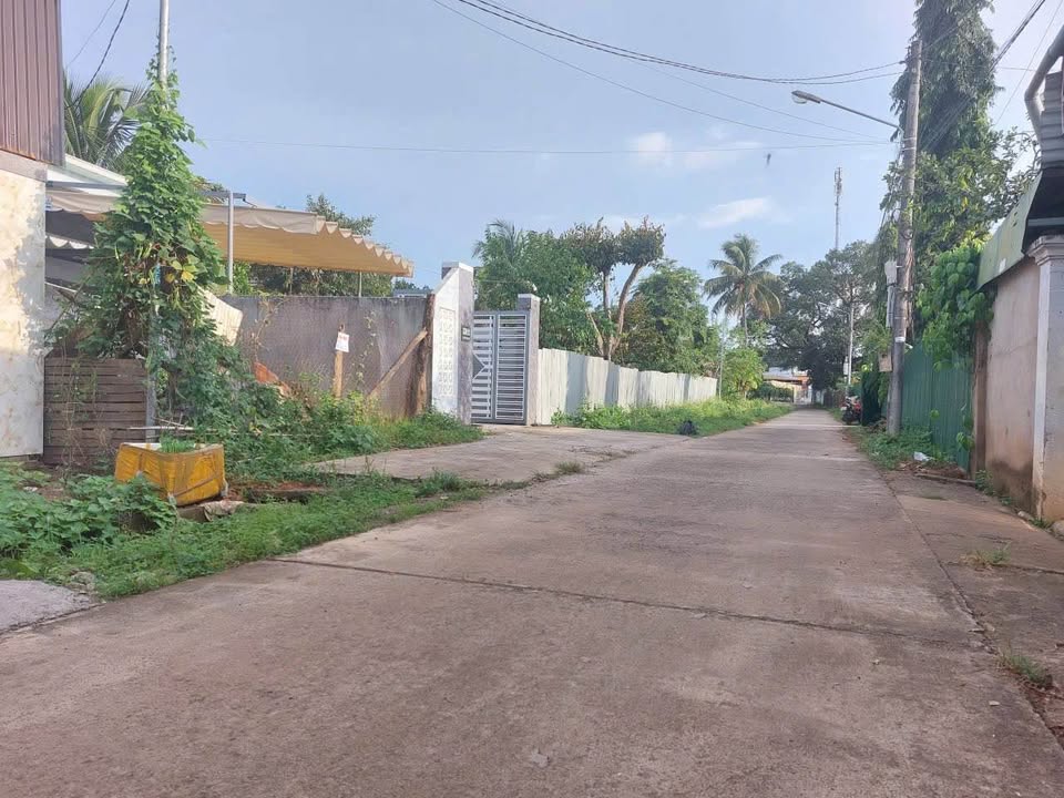 Đất nền Nguyễn Trường Tộ - Buôn Ma Thuột 115m² giá 1.299 tỷ - Vị trí đắc địa, tiện ích đầy đủ!