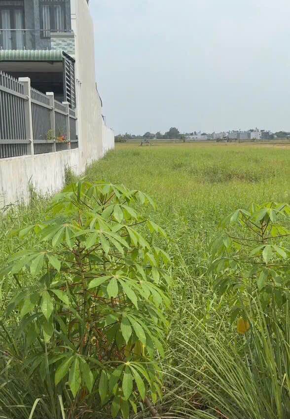 Đất thổ vườn Đức Hòa 1.235m² giá 5.5 tỷ - Đầu tư sinh lời tuyệt vời!