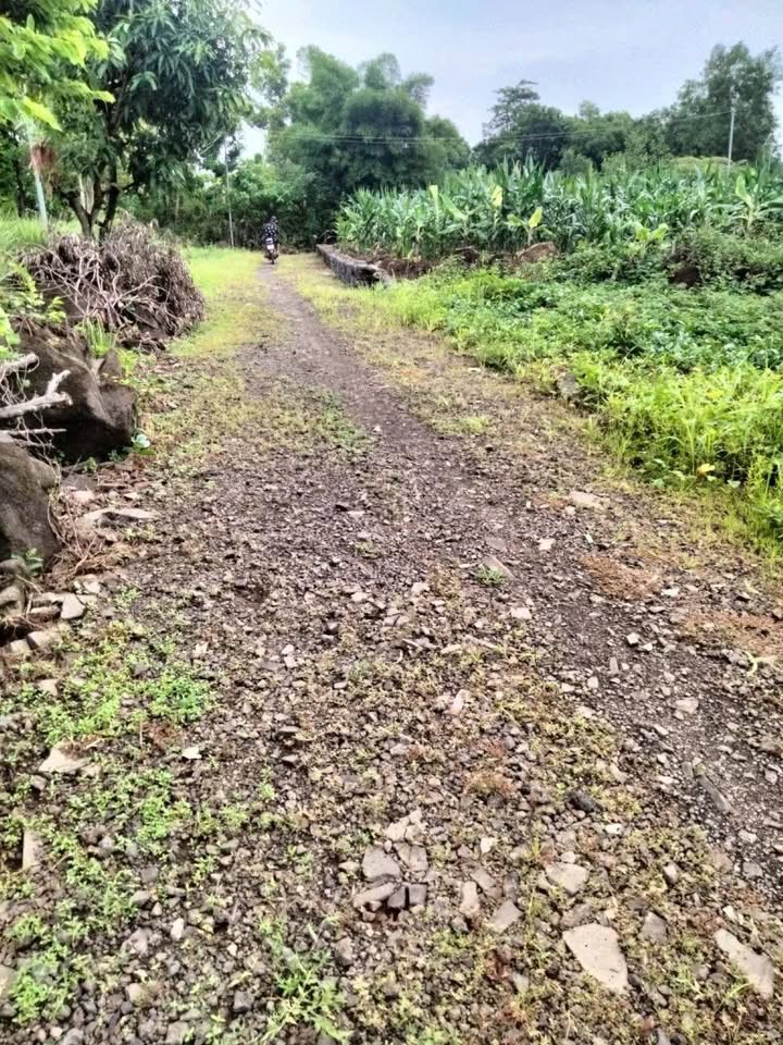 Nhà cấp 4 300m² thổ cư tại Vĩnh Tân, Vĩnh Cữu - Giá 7.5 tỷ, thương lượng!