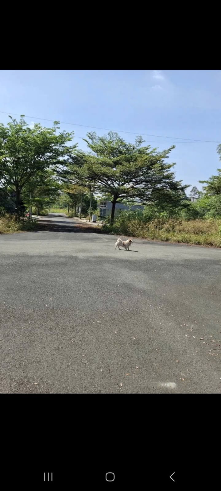 Đất lô góc 2 mặt tiền An Phước 165m² giá 3,35 tỷ - Cơ hội đầu tư tuyệt vời!