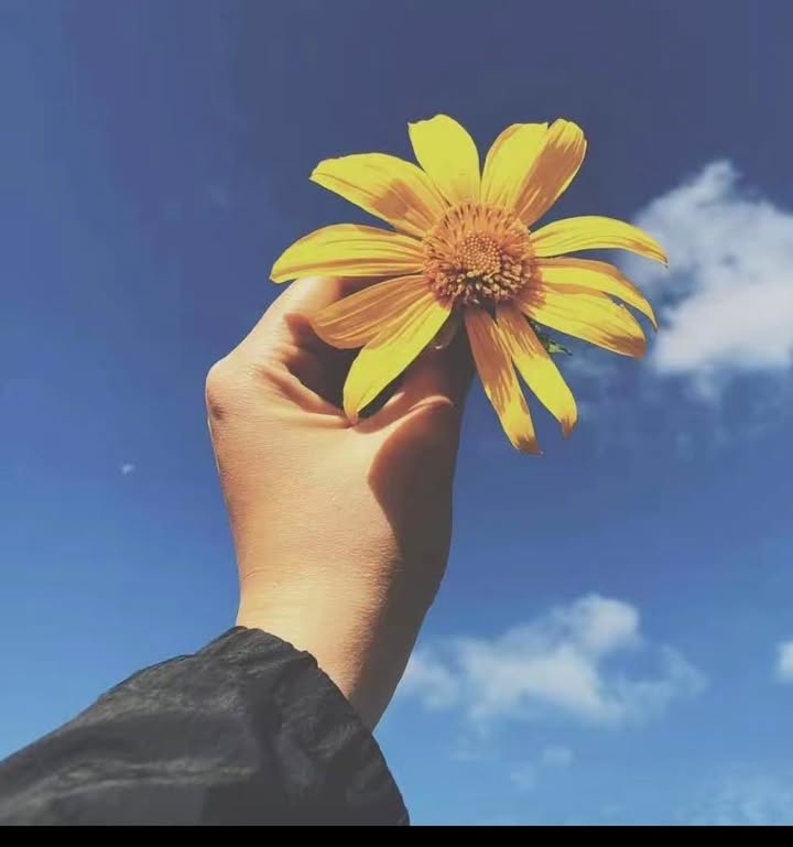 Đất rẫy Ia Púch 1.5ha giá 600 triệu - Tiềm năng đầu tư lớn!