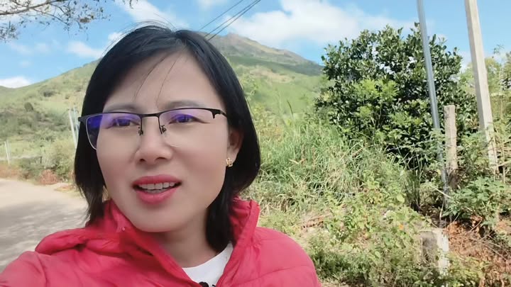 Farm 2ha tại Biển Hồ, Pleiku, Gia Lai - Giá 7 tỷ, Sổ đỏ chính chủ!