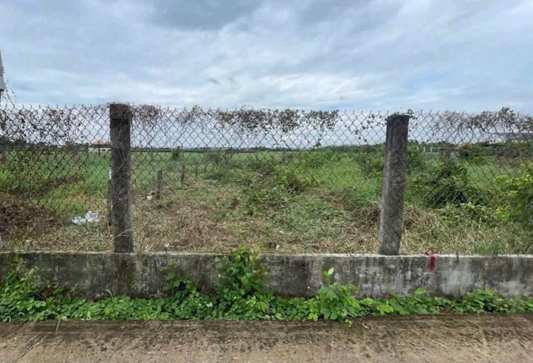 Đất thổ cư 135m² tại ấp 5 Quê Mỹ Thạnh, Tân Trụ, Long An - Giá chỉ 590 triệu, đầu tư sinh lời!