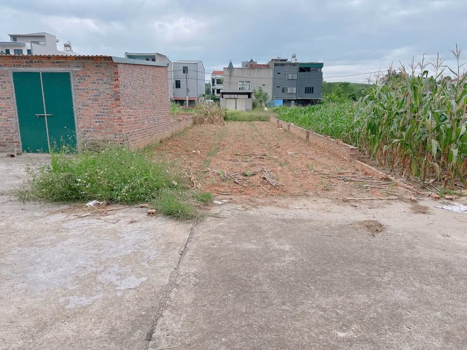 Đất nền Thanh Đình, Việt Trì 120m² giá 1.9 tỷ - Đầu tư sinh lời ngay!