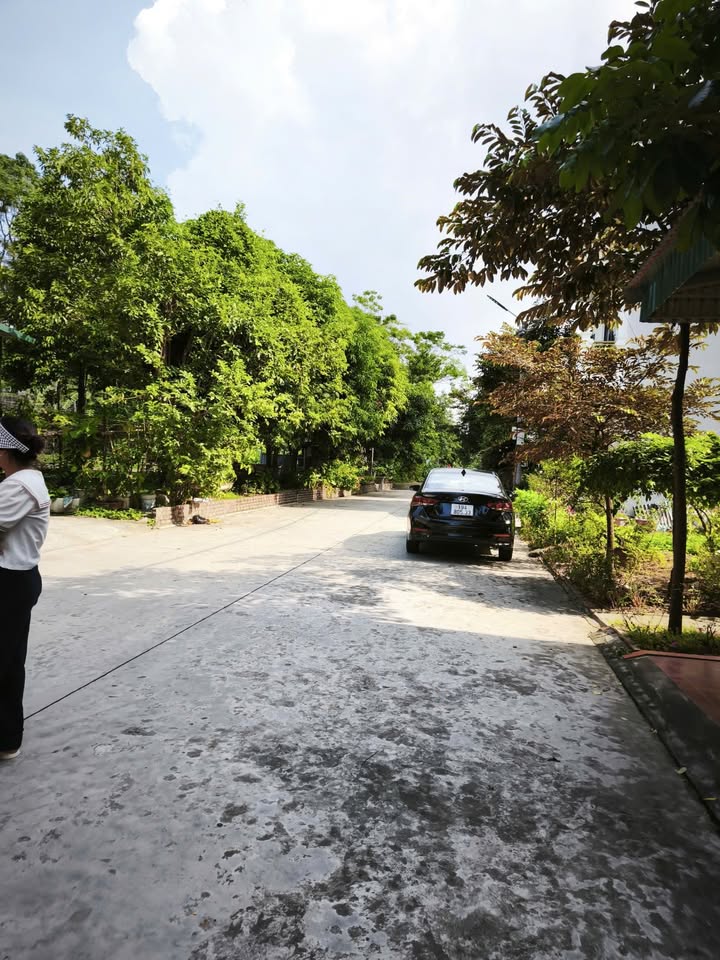 Đất nền Tân Dân, Việt Trì 90m² giá 4.8 tỷ - Hạ tầng đầy đủ, khu dân cư đông đúc!