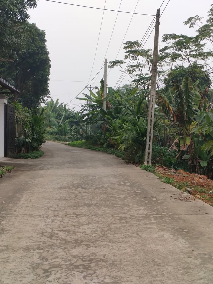 Đất nền Phú Khê 1800m² giá 3 tỷ - Đầu tư sinh lời tốt!