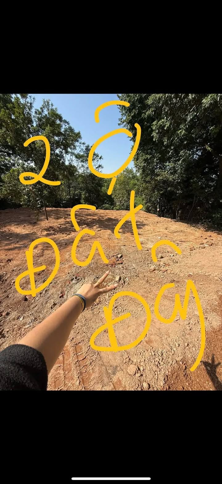 Đất nền Nguyễn Văn Linh, Việt Trì 300m² - Giá tốt nhất cho nhà đầu tư!