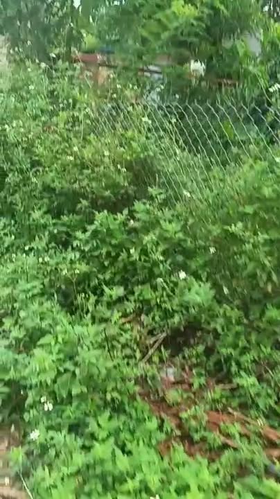 Đất thổ cư Nông Trang, Việt Trì 86m² giá 1 tỷ - Đầu tư sinh lời nhanh!