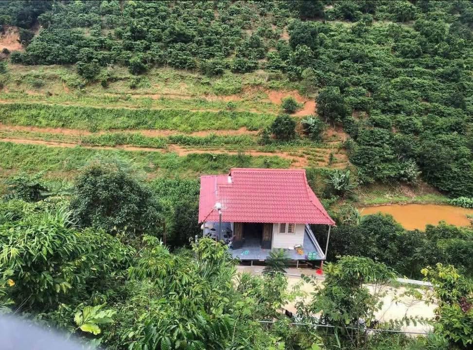 Farm Mê Linh Lâm Hà 1000m² giá 1,2 tỷ - Nhà đầy đủ tiện nghi, sẵn sàng vào ở!