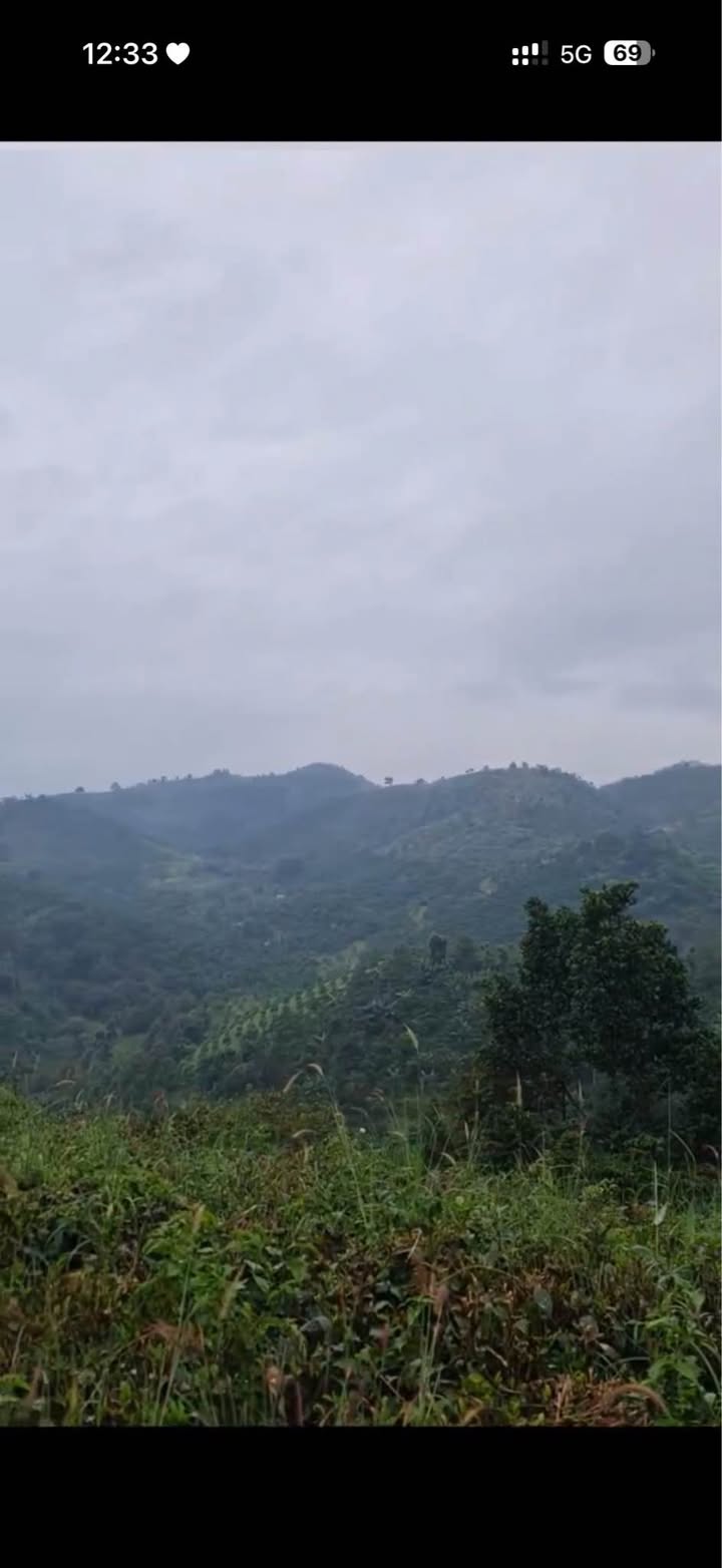 Đất vườn Lộc Thành Bảo Lâm 1025m² giá 650 triệu - Tiềm năng phát triển vượt trội!