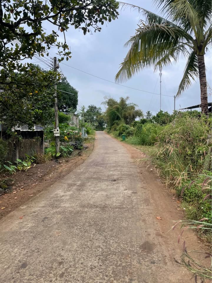 Đất nền 1 sào 3622m² tại xã Gia Canh, giá thỏa thuận - Sổ hồng riêng chính chủ!