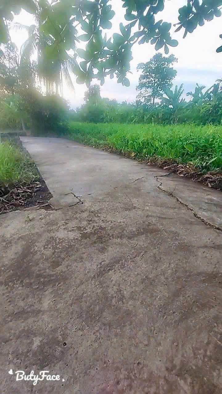 Đất thổ cư Nhơn Thạnh Trung, Tân An 110m² giá 420 triệu - Chính chủ bán gấp!