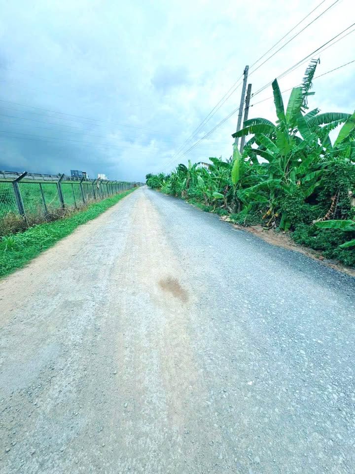 Đất nền 1000m² mặt tiền đường Công Vụ, xã Hướng Thọ Phú - Giá chỉ 1.695 tỷ!