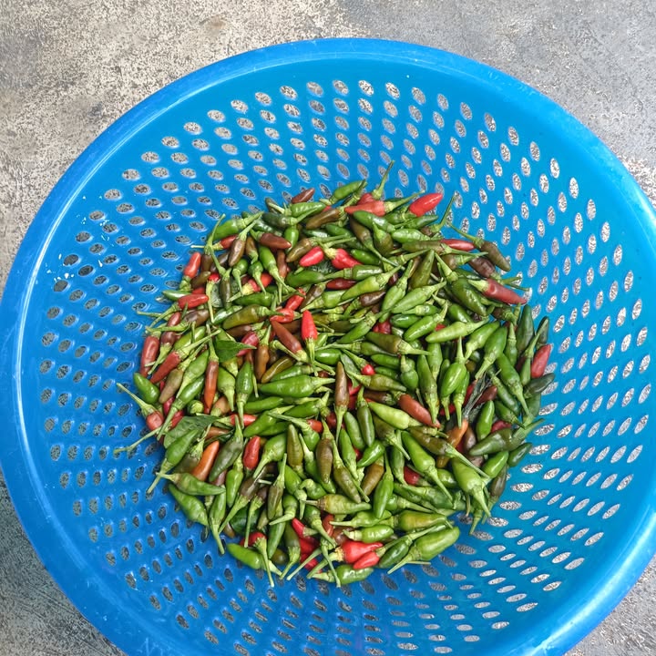 Đất nền Cát Khánh Đề Gi 1400m² giá 1.6 tỷ - Vị trí trung tâm, ô tô vào tận nơi!