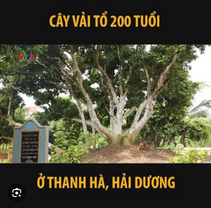 Đất ở Thanh Sơn - Thanh Hà 200m² giá 800 triệu - Cơ hội đầu tư hấp dẫn!