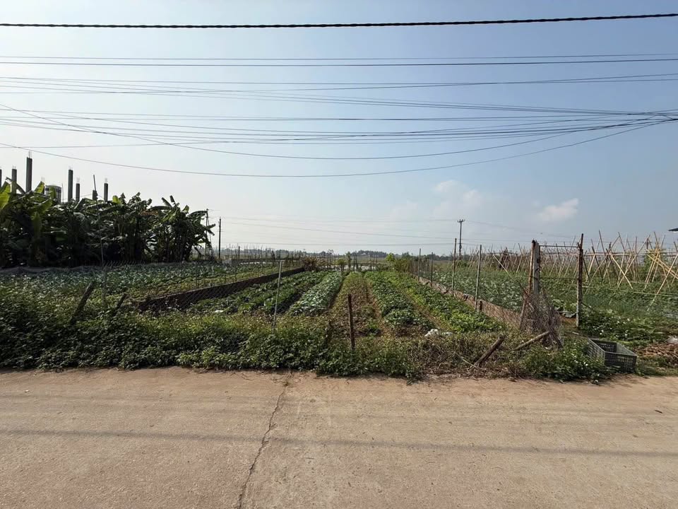 Bán đất Bảo Yên, Thanh Thủy, Phú Thọ 184m² - Tiềm năng đầu tư cao!