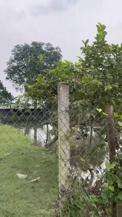 Đất vườn Lương Nha Phú Thọ 2130m² - View hồ tuyệt đẹp, không khí trong lành!