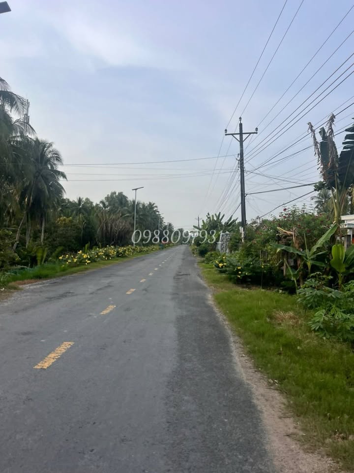 Nhà cấp 4 mặt tiền đường Huyện 31, Càng Long 266.5m² giá 1.15 tỷ - Đầu tư sinh lời!