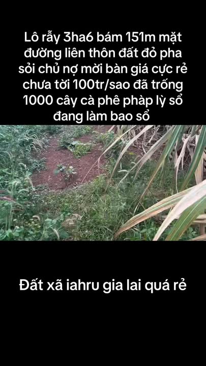 Đất nền 36.000m² xã Ia Hrú, giá chỉ 2.6 tỷ - Cơ hội đầu tư tuyệt vời!