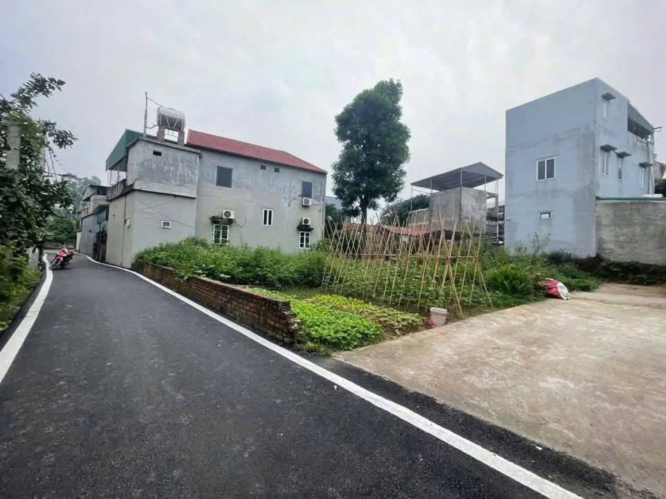 Đất thổ cư Thanh Lâm Mê Linh 67m² giá 2.6 tỷ - Ô tô vào tận đất!