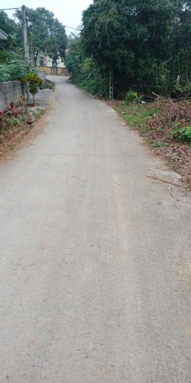 Đất thổ cư Nho Quan 1000m² giá chỉ 1 tỷ - Cơ hội đầu tư tuyệt vời!