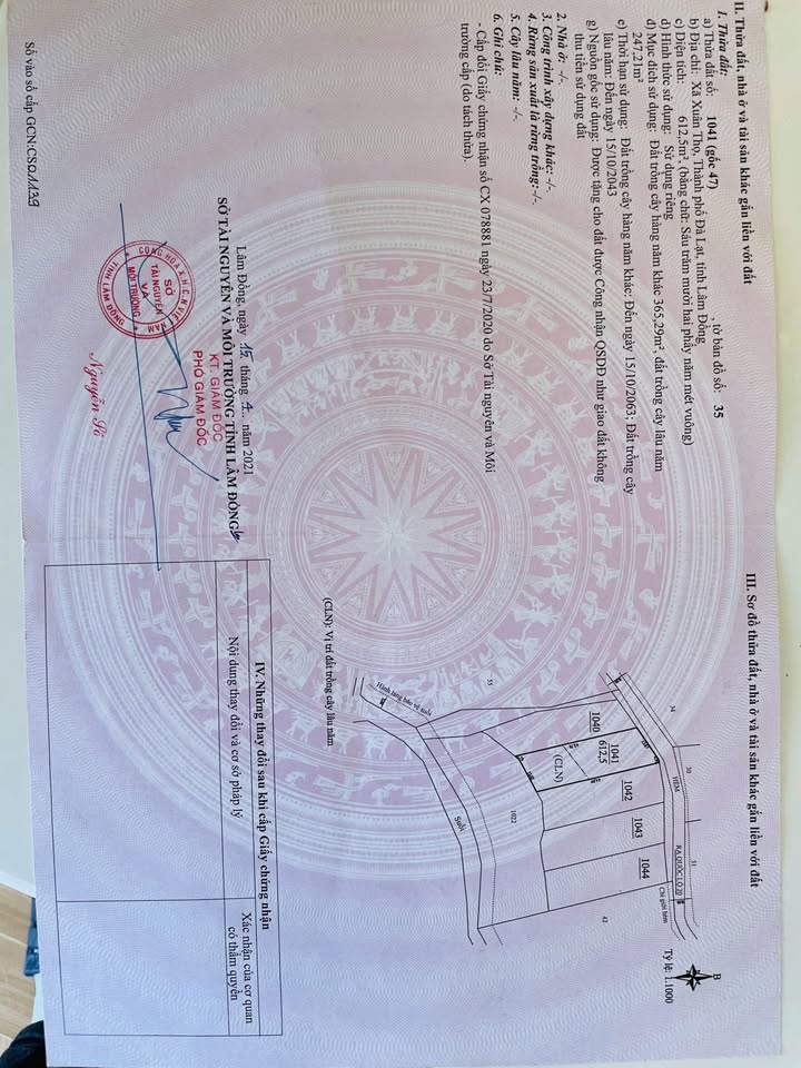 Đất nền 612m² xã Xuân Thọ, Đà Lạt giá 2.8 tỷ - View đồi thông thoáng đẹp!