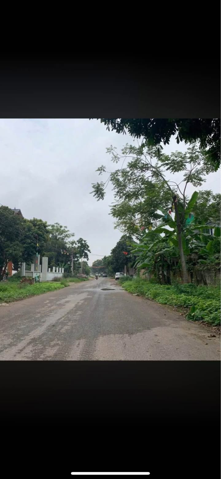 Đất kinh doanh mặt tiền 5m tại chợ Số 8, Tam Dương 100m² giá 1.7 tỷ - Đầu tư sinh lời tuyệt vời!