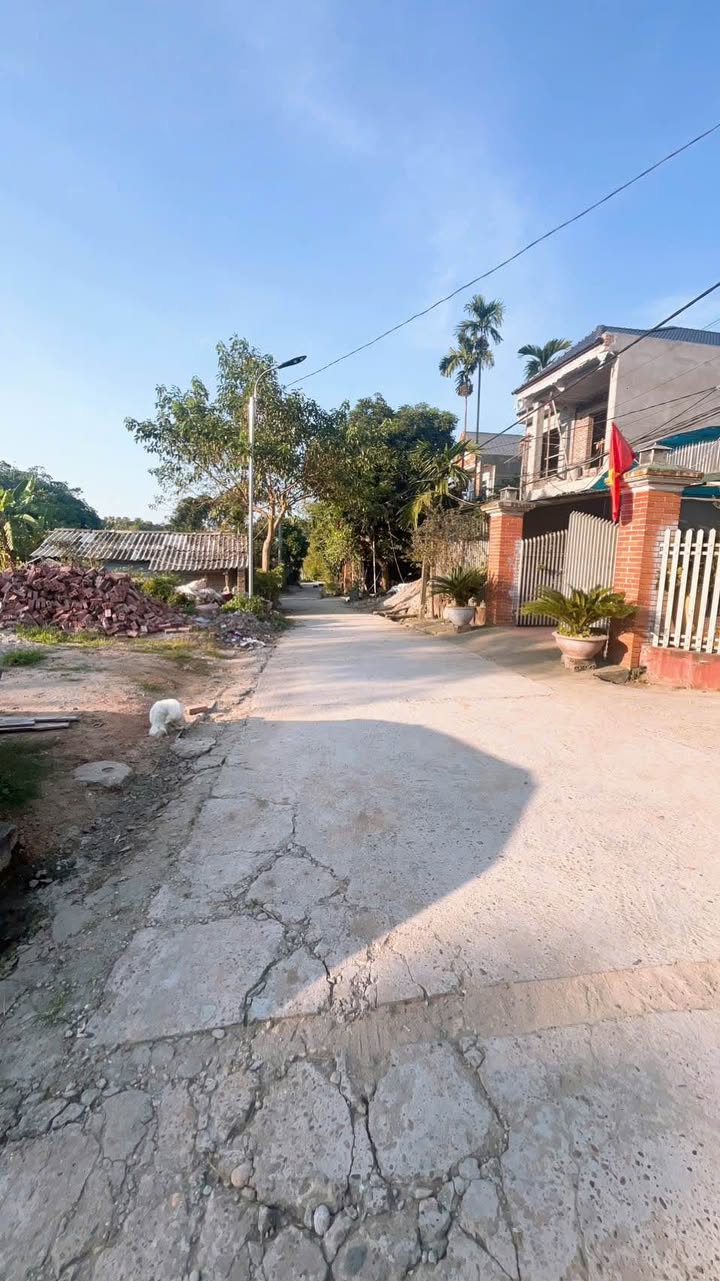 Đất nền Kim Đức, TP Việt Trì 81,2m² giá 1,1 tỷ - Cơ hội đầu tư tiềm năng!