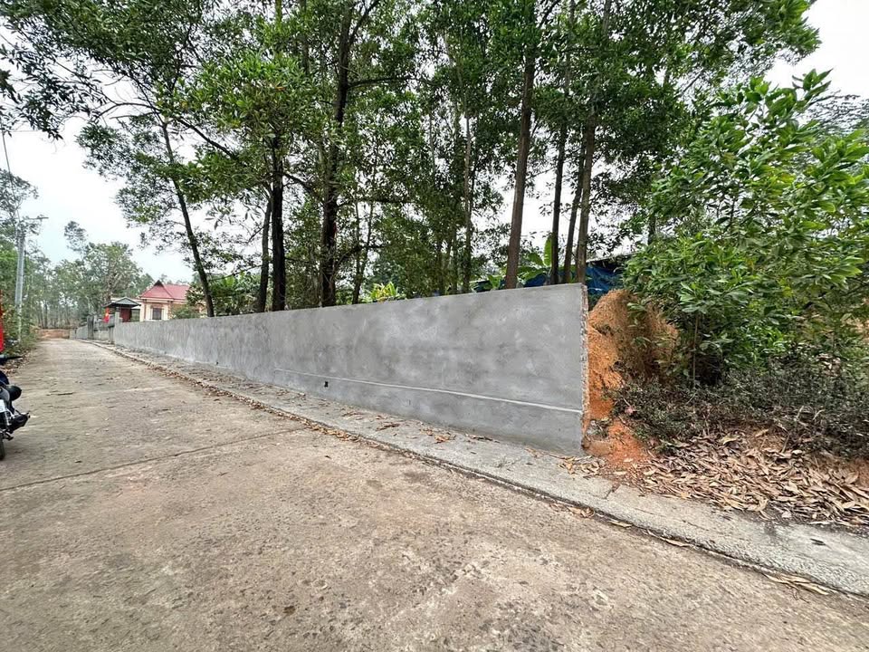 Đất nền Phú Ninh, Thanh Vân 130m² giá 800 triệu - Cơ hội đầu tư tuyệt vời!