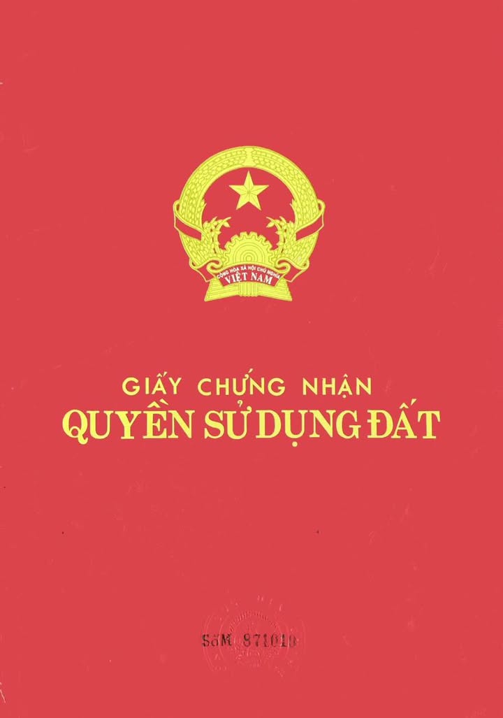 Đất nền Hướng Đạo, Tam Dương 671m² giá 4 tỷ - Lô góc ô tô tránh, tiện ích đầy đủ!