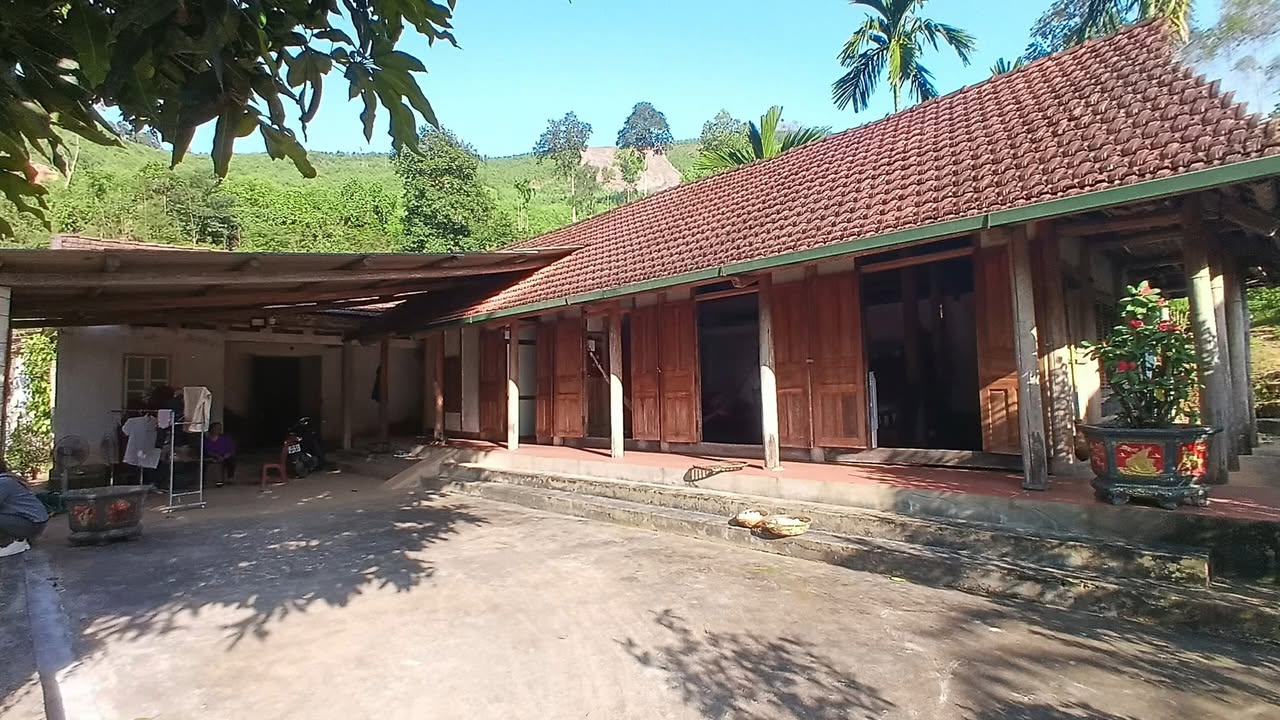 Đất Farm Võ Miếu, Thanh Sơn 3022m² giá 2 tỷ - Thiên đường nghỉ dưỡng lý tưởng!