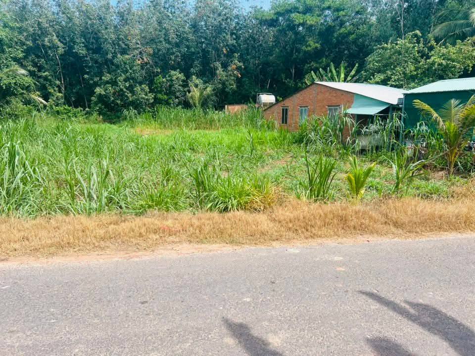 Đất nền Xóm Mới 2, Trí Bình 240m² giá thỏa thuận - Đường nhựa QH30m, gần khu dân cư!