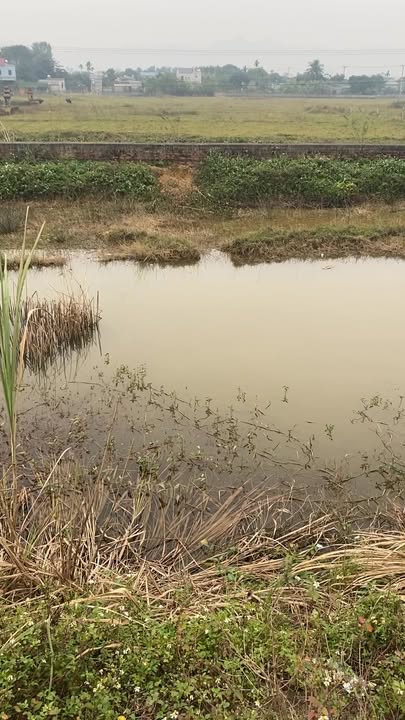 Đất Bến Văn Phương Nho Quan 100m² - Tiềm năng kinh doanh vượt trội!