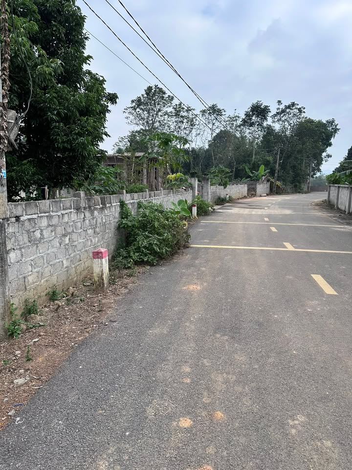 Đất nền Quỳnh Lưu Ninh Bình 300m² - Sổ đỏ chính chủ, giá thỏa thuận!