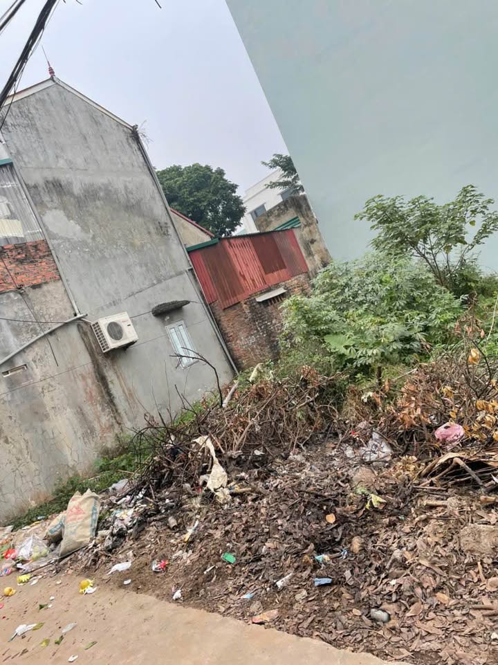 Đất nền chính chủ tại Đại Thành, Quốc Oai 53m² - Giá thỏa thuận hấp dẫn!