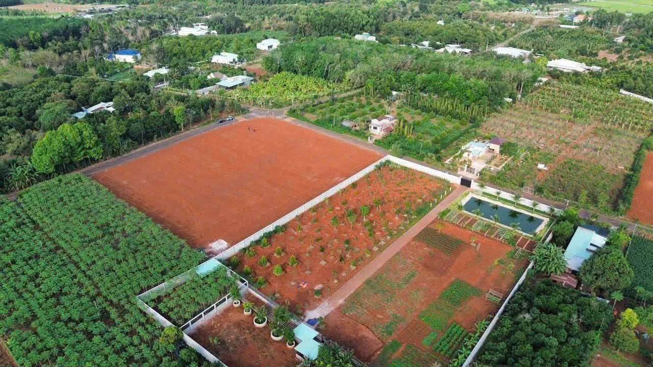 Đất Long Phước Bà Rịa 1008m² giá 3 tỷ - Cơ hội đầu tư tuyệt vời!