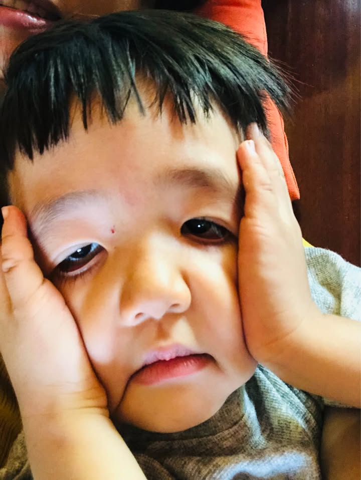 Đất nền Hòa Long Bà Rịa 1440m² giá 2 tỷ - Cơ hội đầu tư tuyệt vời!