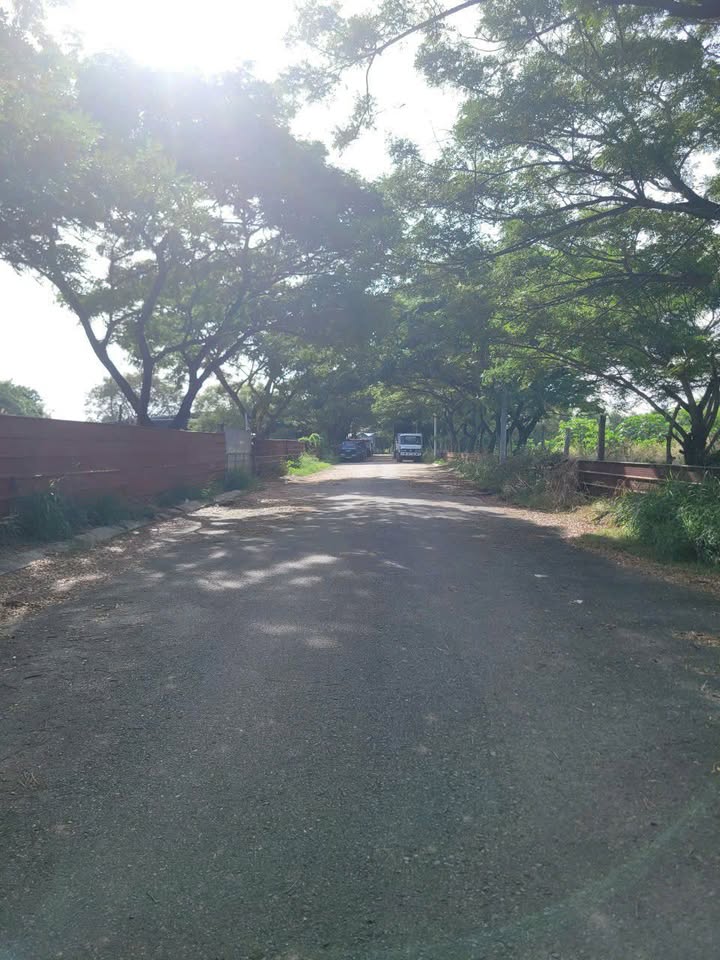 Đất nền Vũng Tàu 80m² giá 3.65 tỷ - Hướng Đông, vị trí thuận lợi!