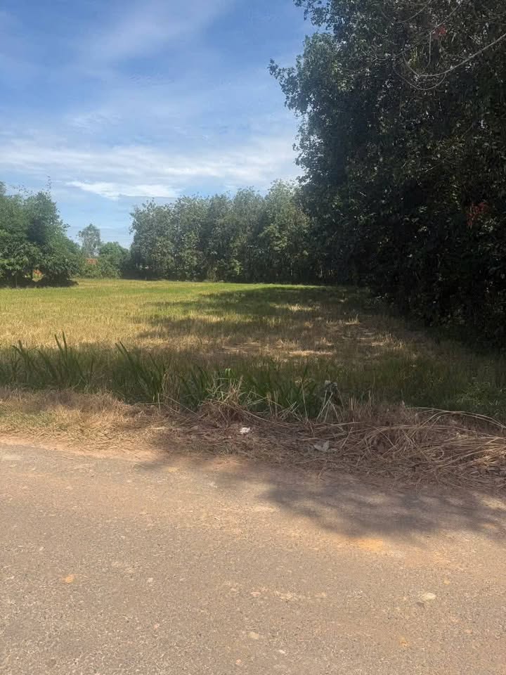 Đất thổ cư 370m² tại Châu Thành, Tây Ninh - Giá chỉ 299 triệu, đầu tư sinh lời!