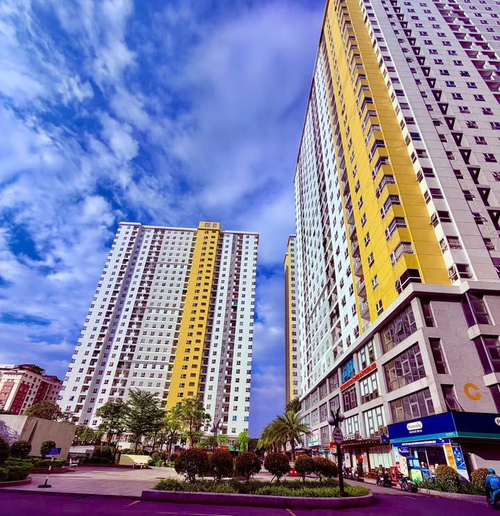 Căn hộ Diamond Riverside quận 8 - Cho thuê từ 9 triệu/tháng - Full nội thất hiện đại