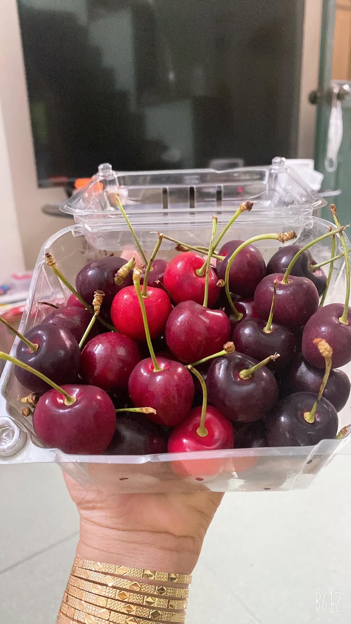 Nhà mặt tiền Phan Chu Trinh, Quy Nhơn 50m² giá 15 triệu - Sẵn sàng kinh doanh ngay!