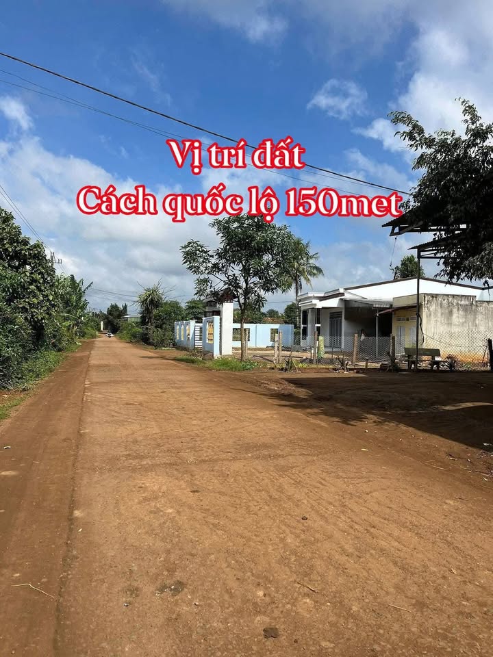 Đất mặt tiền đường chính Km 45, xã Ea Kly 180m² giá 799 triệu - Sổ hồng chính chủ, đầu tư sinh lời!