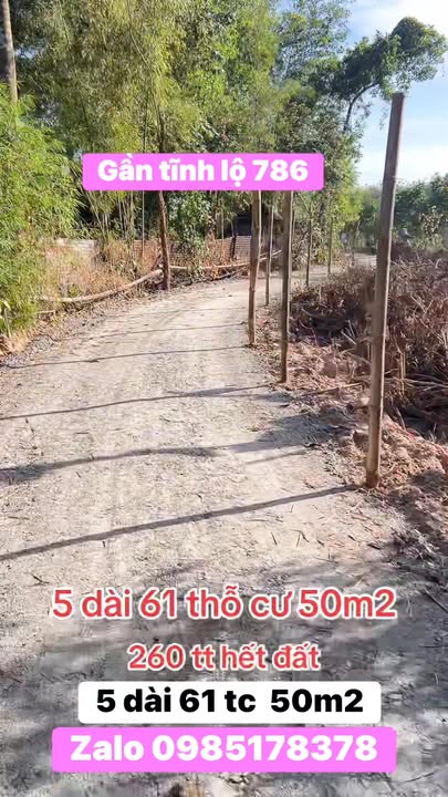 Đất nền Long Chữ Bến Cầu 50m² giá 260 triệu - Đầu tư sinh lời ngay!