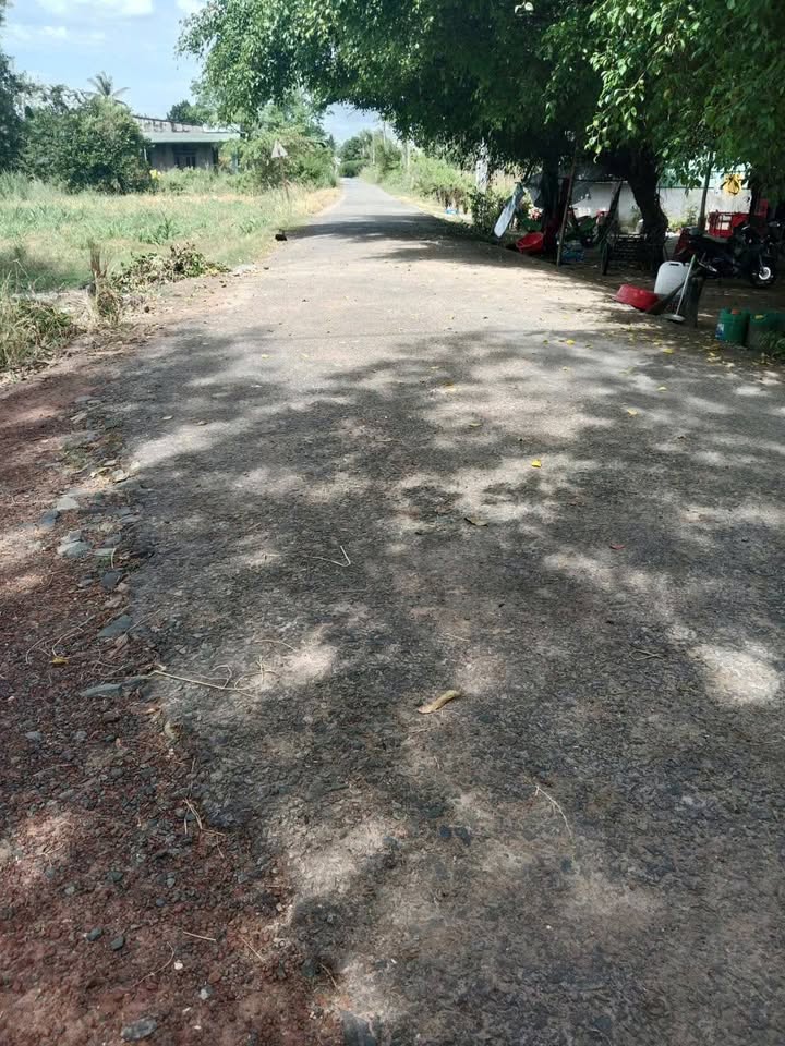 Đất nền Thạnh Bình Tân Biên 250m² giá 229 triệu - Cao ráo, thuận lợi xây dựng!