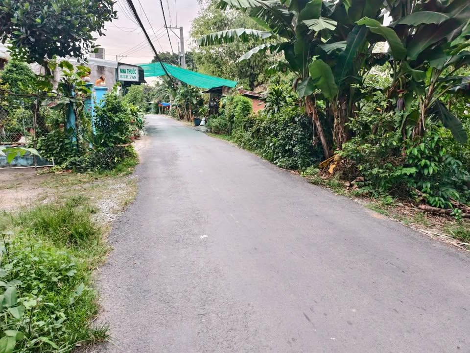 Nhà cấp 4 Bình Khánh, Long Xuyên 132m² giá 1.7 tỷ - Chính chủ bán gấp!