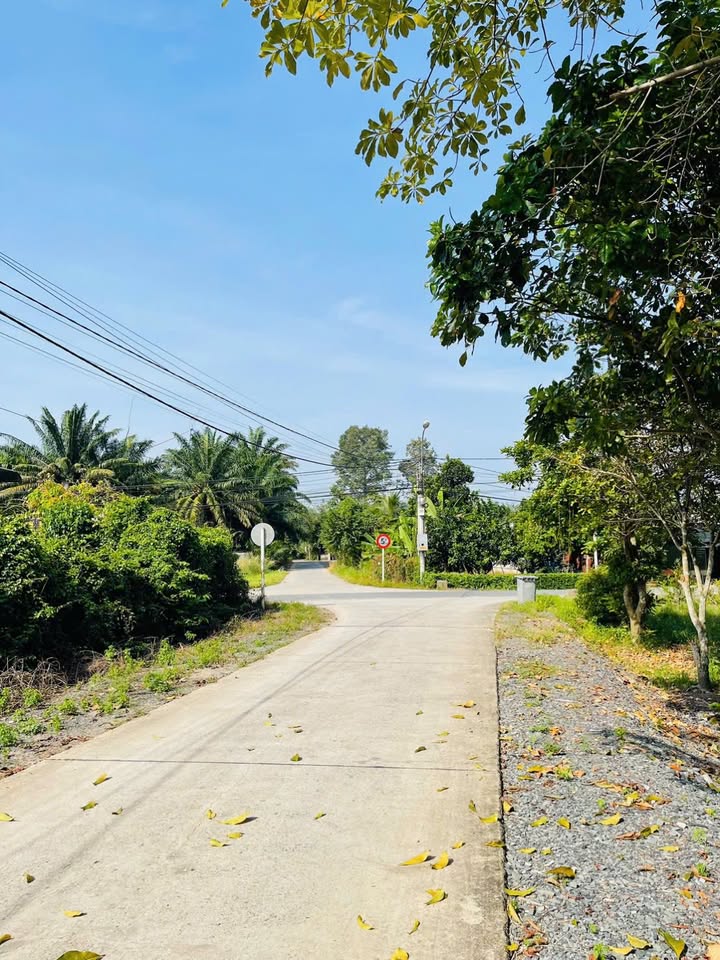 Đất nền tại Nhuận Đức, Củ Chi 1969m² - Vị trí thoáng mát, phù hợp xây nhà vườn!