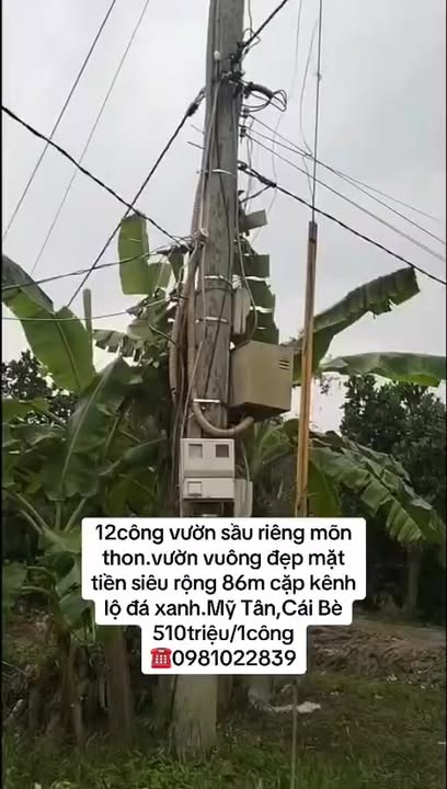 Đất vườn Mỹ Tân, Cái Bè 12 công giá chỉ 5.1 tỷ - Đầu tư sinh lời ngay!